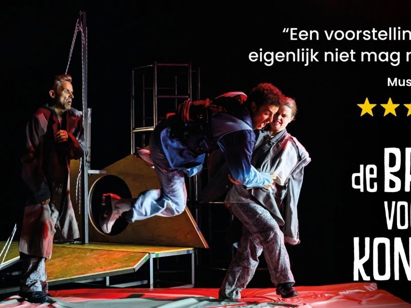 Brief Voor De Koning (6)