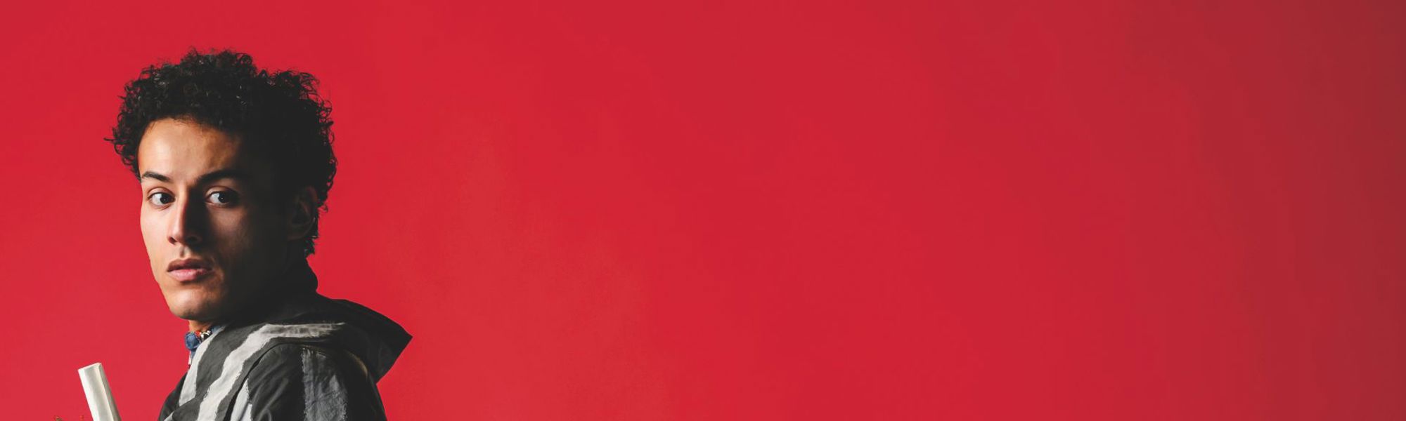 Model.HeaderVisualTitle