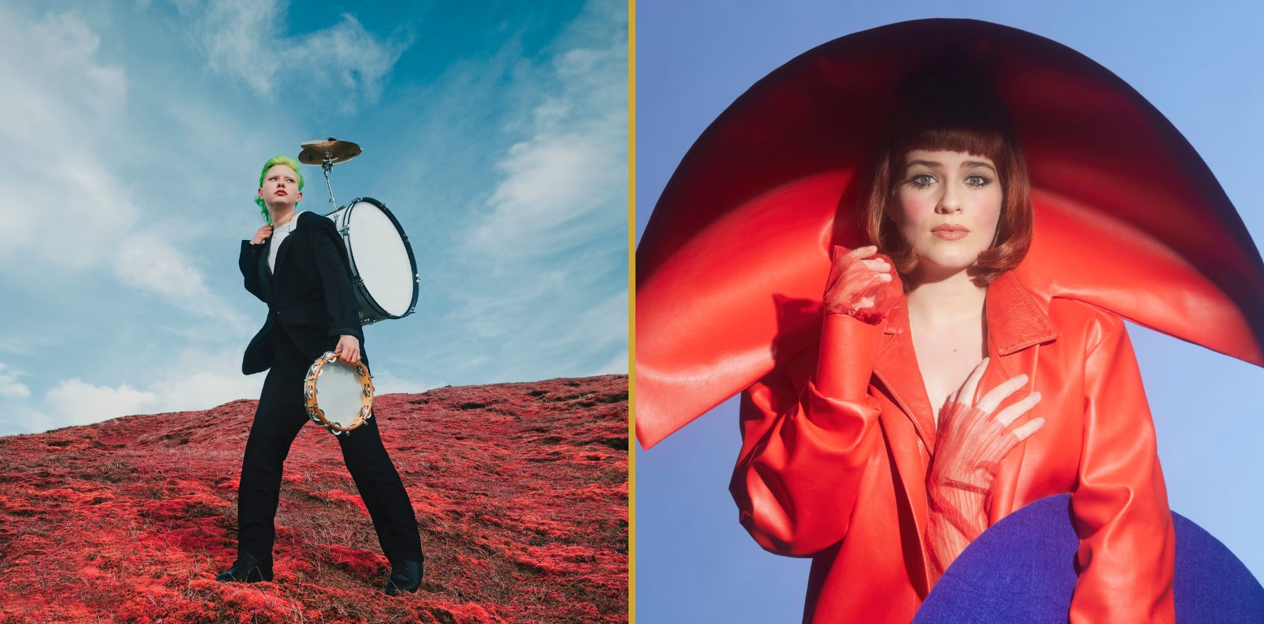 Model.HeaderVisualTitle