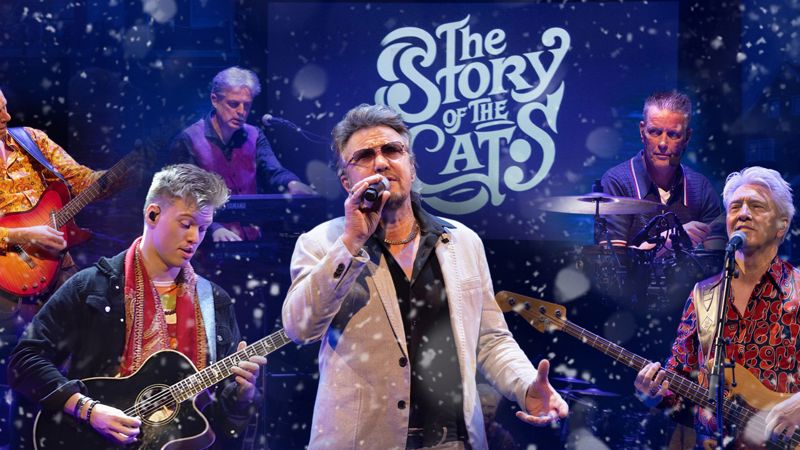 The Story Of The Cats