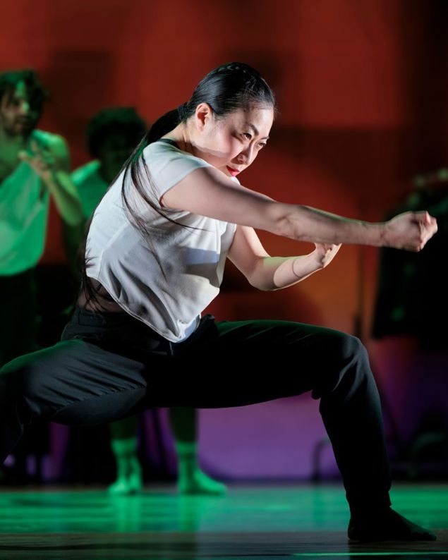 Conny Janssen Danst