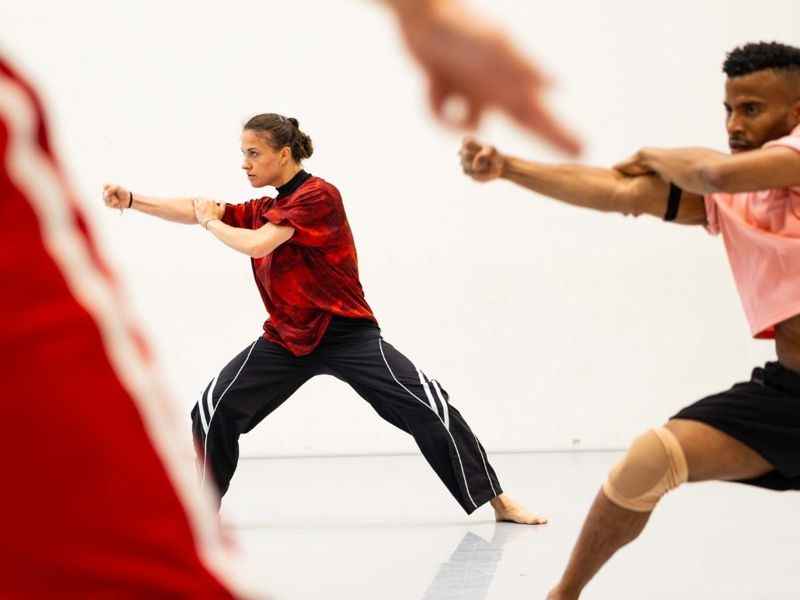 Conny Janssen Danst (6)