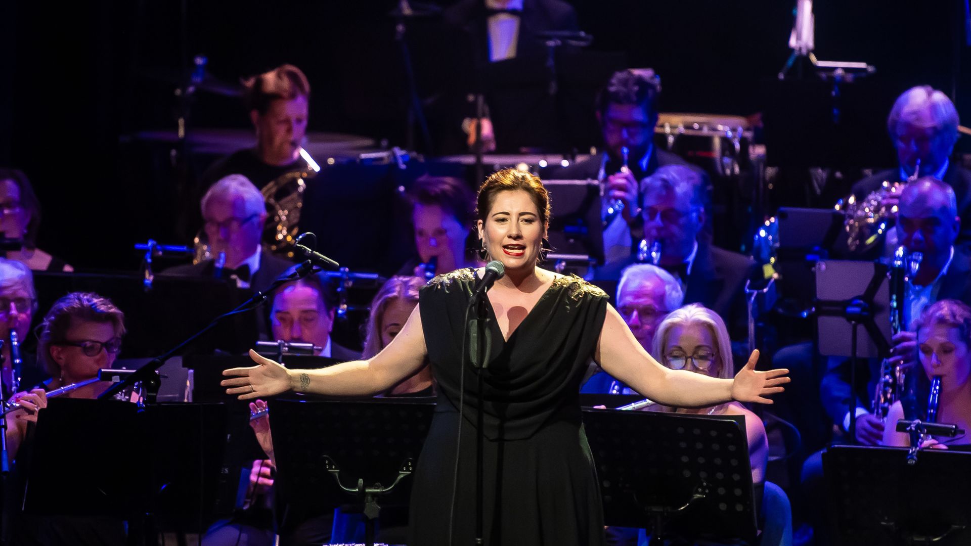 Model.HeaderVisualTitle