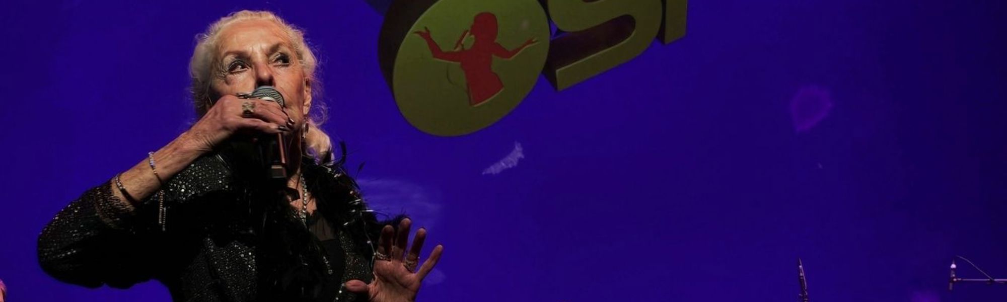 Model.HeaderVisualTitle