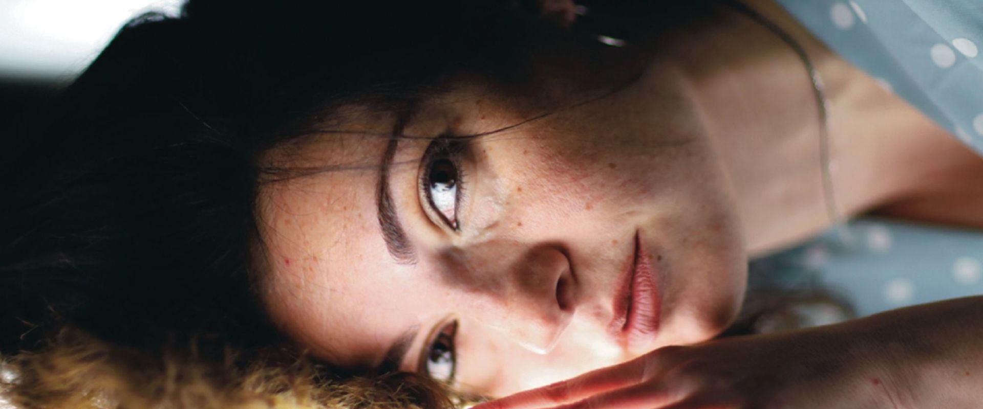 Model.HeaderVisualTitle