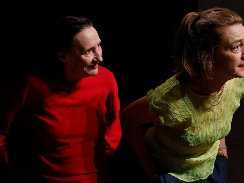 Woolf, Zadie En Wij (5)