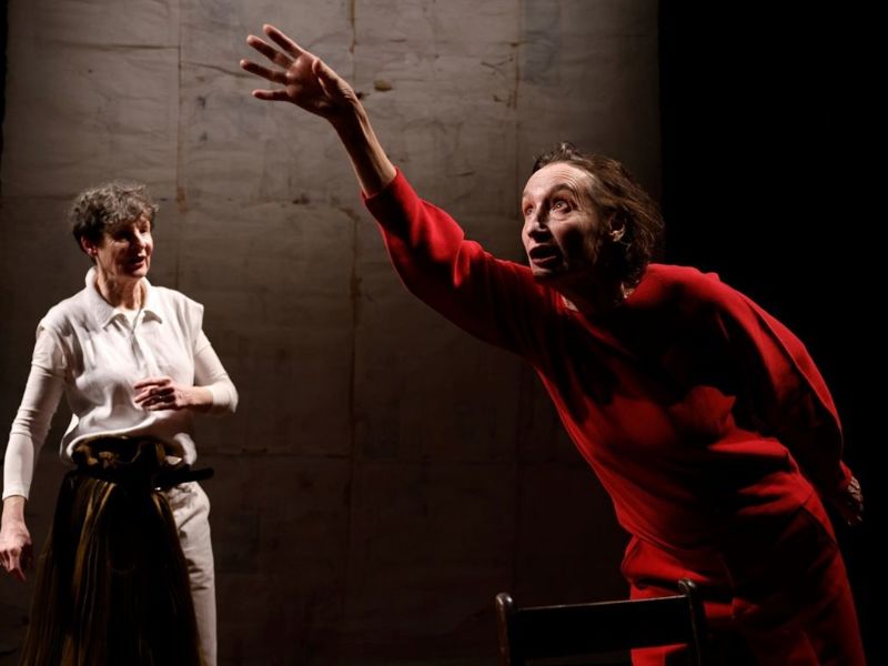 Woolf, Zadie En Wij (1)