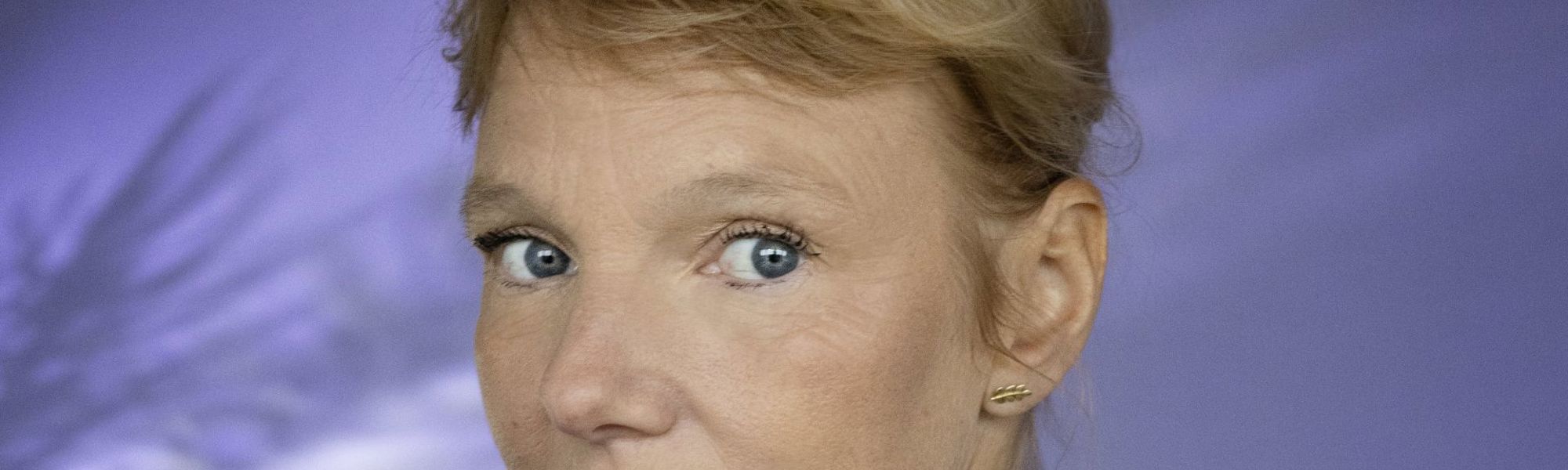 Model.HeaderVisualTitle