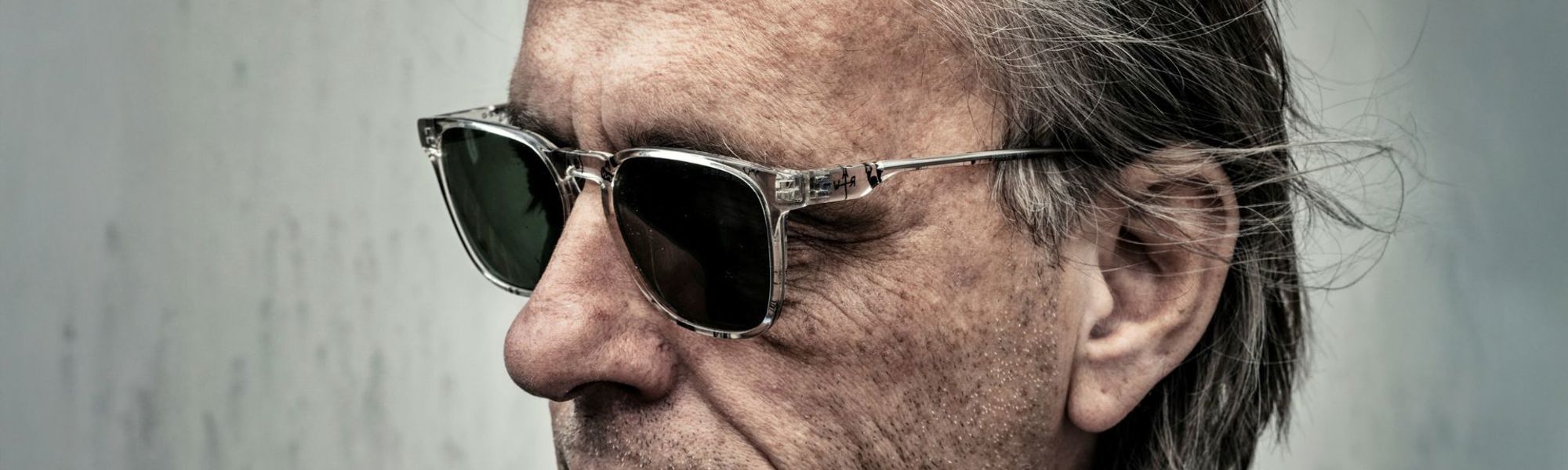 Model.HeaderVisualTitle